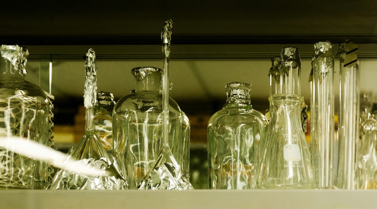 A shelf of laboratory glassware in a generic laboratory setting