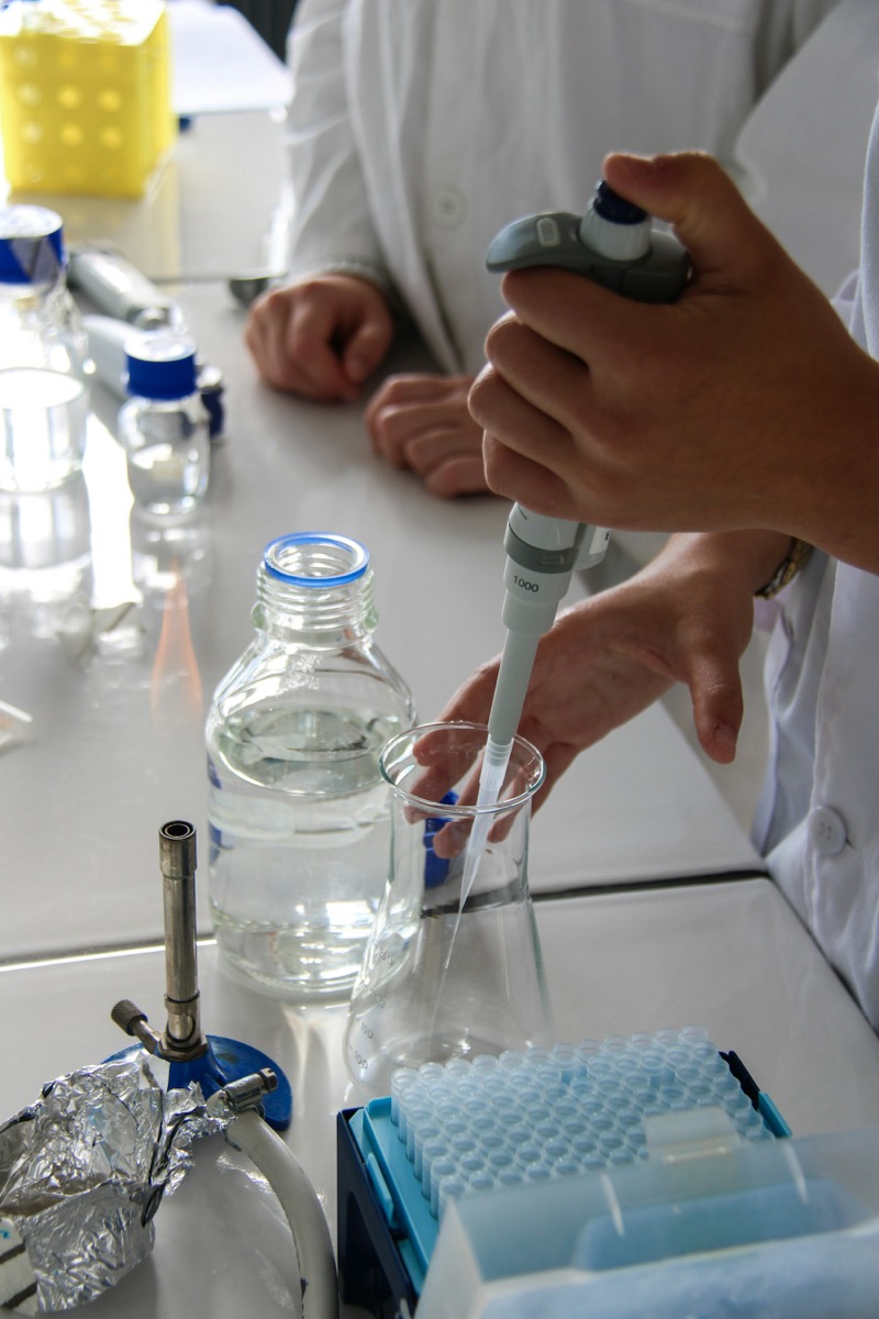 A laboratory technician operating a pipette during a generic laboratory procedure