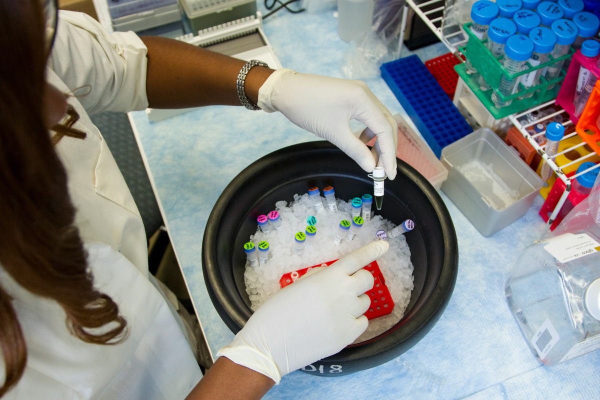 A researcher handling prepared laboratory samples during a generic research workflow